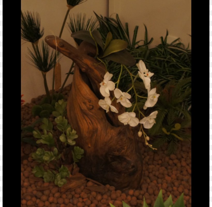 Flowerpot Houseplant Fauna Tree, PNG, 800x800px, Flowerpot, Fauna, Flora, Flower, Houseplant Download Free