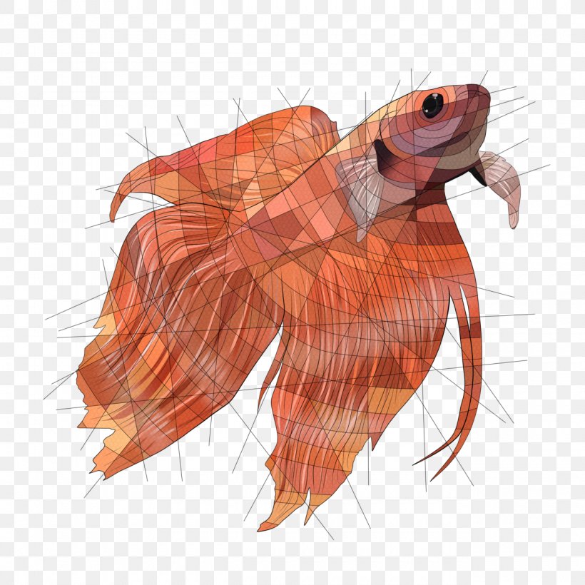 Poster Background, PNG, 1280x1280px, Siamese Fighting Fish, Art Museum, Artist, Bettas, Canvas Download Free