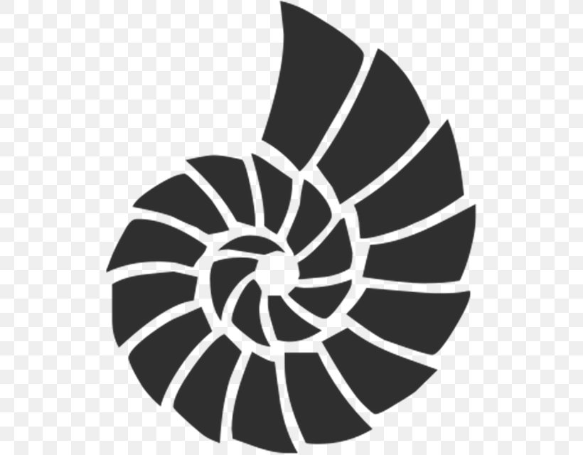 Stencil Seashell Painting Airbrush, PNG, 522x640px, Stencil, Airbrush, Art, Beach, Black And White Download Free