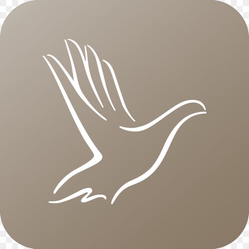 Water Bird Beak, PNG, 1024x1024px, Bird, Beak, Water Bird, Wing Download Free