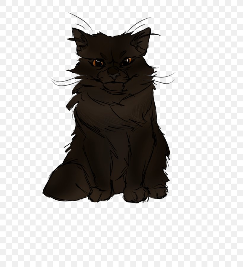 Black Cat Whiskers Kitten Domestic Short-haired Cat, PNG, 675x900px, Black Cat, Black, Black M, Bombay, Carnivoran Download Free