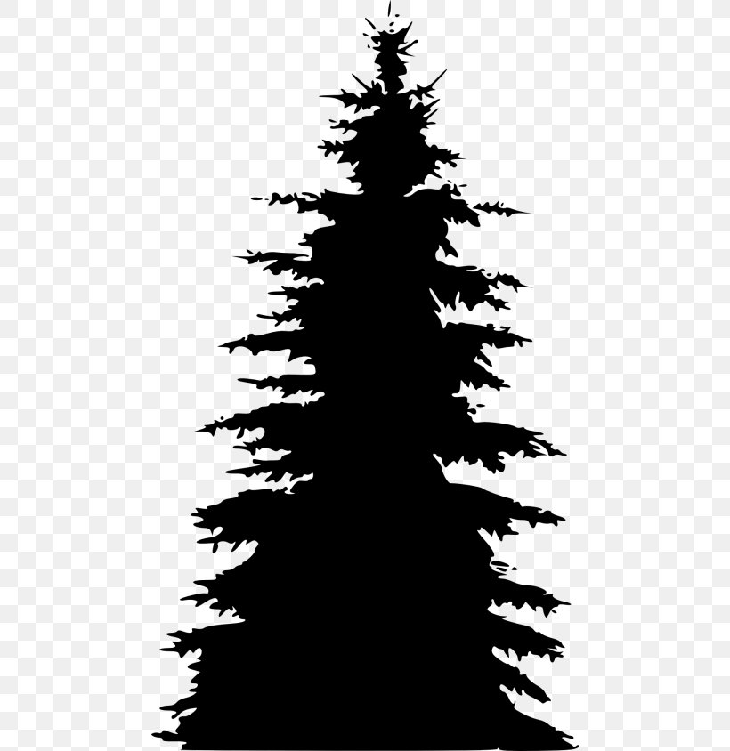 Christmas Black And White, PNG, 480x844px, Silhouette, American Larch, Balsam Fir, Blackandwhite, Christmas Tree Download Free