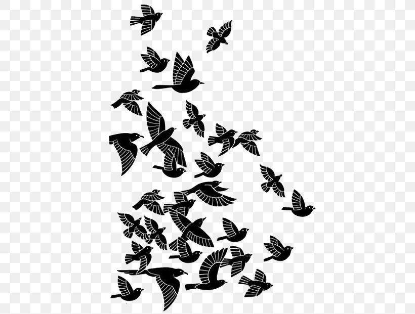 Pigeon, PNG, 444x621px, Multimedia, Bit, Black And White, Butterfly, Gratis Download Free