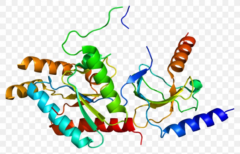 CACNB2 Voltage-gated Calcium Channel Protein Method Of Loci Actin, PNG, 1084x695px, Watercolor, Cartoon, Flower, Frame, Heart Download Free