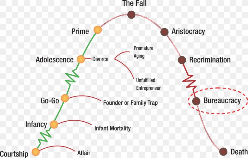 Corporate Life Cycles Organizational Life Cycle Business Managing Corporate Lifecycles, PNG, 1024x651px, Organization, Area, Biological Life Cycle, Board Of Directors, Business Download Free