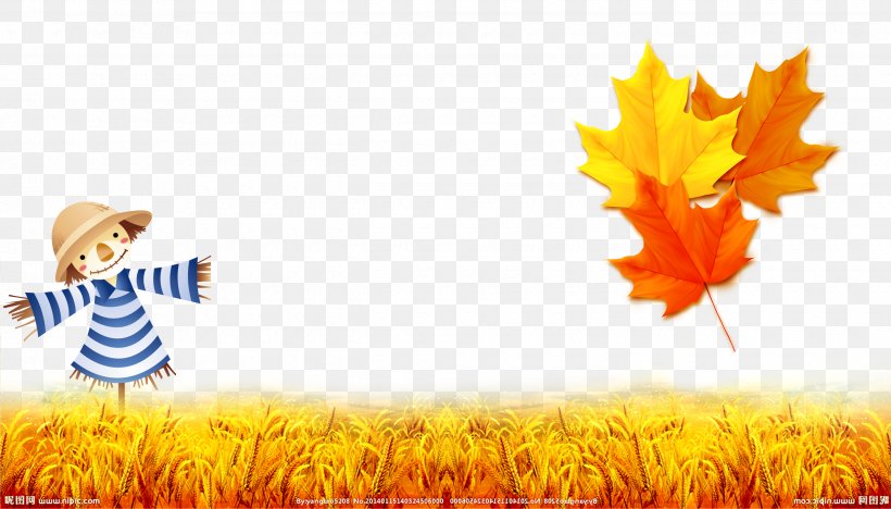 Hand Painted Autumn Leaves, PNG, 2480x1416px, Dongzhi, Autumn, Autumn Leaves, Commodity, Grass Download Free