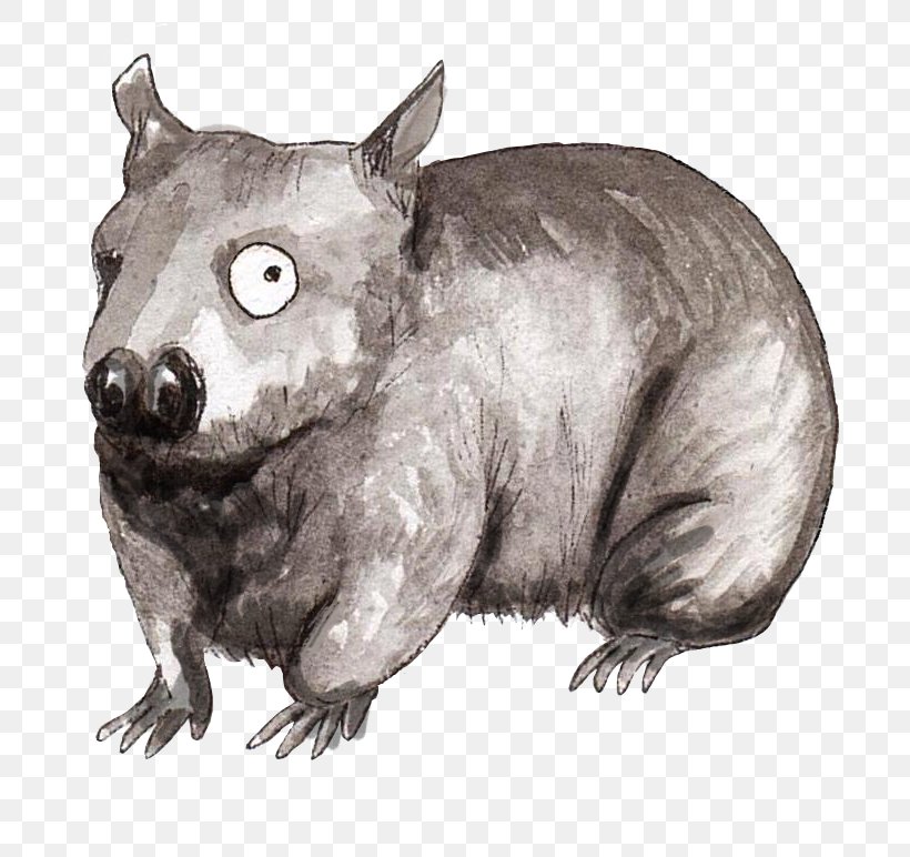 Rat /m/02csf Drawing Wombat, PNG, 748x772px, Rat, Animal, Blog, Book, Brand Download Free