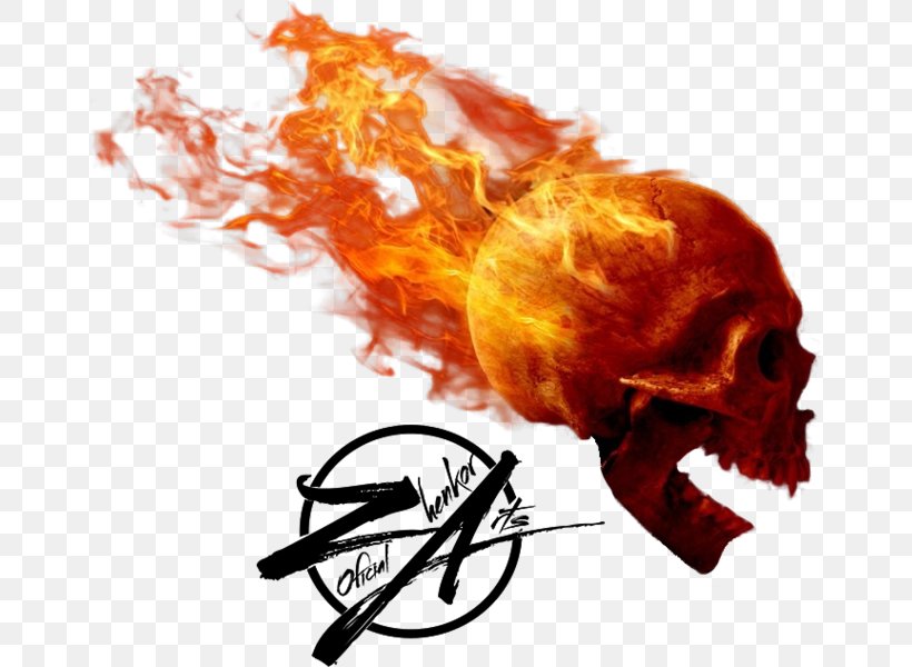 Skull Desktop Wallpaper Flame Fire, PNG, 658x600px, Skull, Calavera, Fire, Flame, Human Tooth Download Free