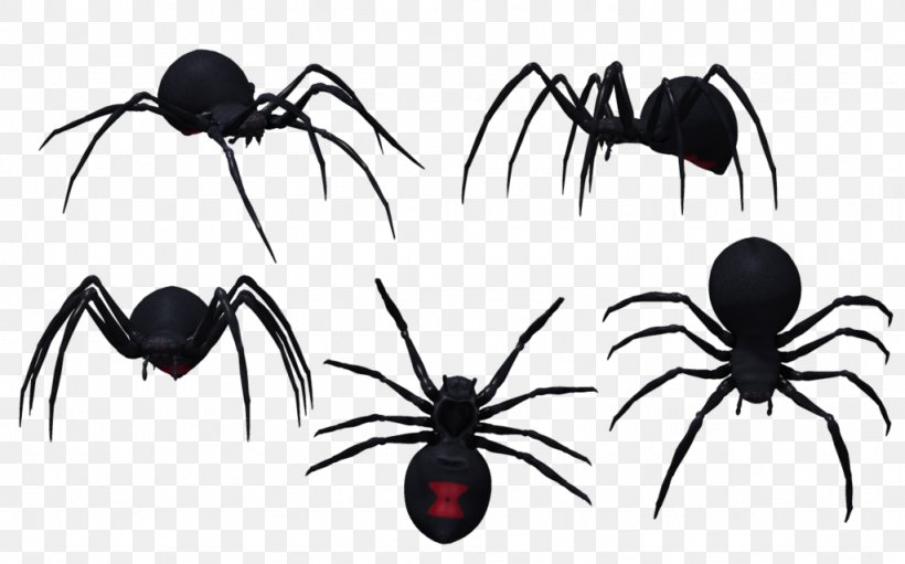 Spider Drawing Latrodectus Tredecimguttatus Southern Black Widow Clip Art, PNG, 1024x639px, Spider, Arachnid, Art, Arthropod, Drawing Download Free
