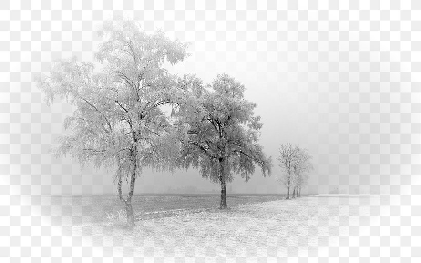YouTube Photography Text Winter, PNG, 819x512px, Youtube, Autumn, Black And White, Blizzard, Branch Download Free