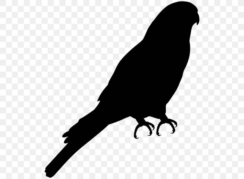 Bird Clip Art European Robin Image, PNG, 528x600px, Bird, American Crow, Art, Beak, Blackandwhite Download Free