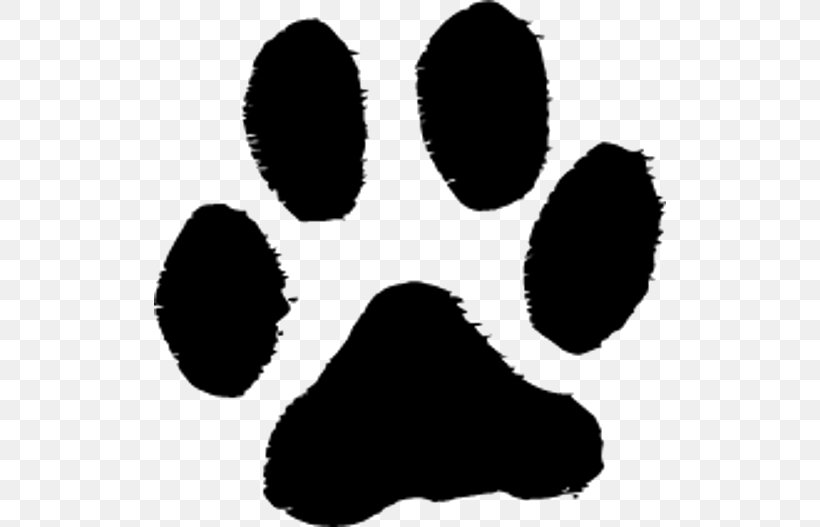 Labrador Retriever Cat Paw Puppy Tiger, PNG, 512x527px, Labrador Retriever, Bear, Black, Black And White, Cat Download Free