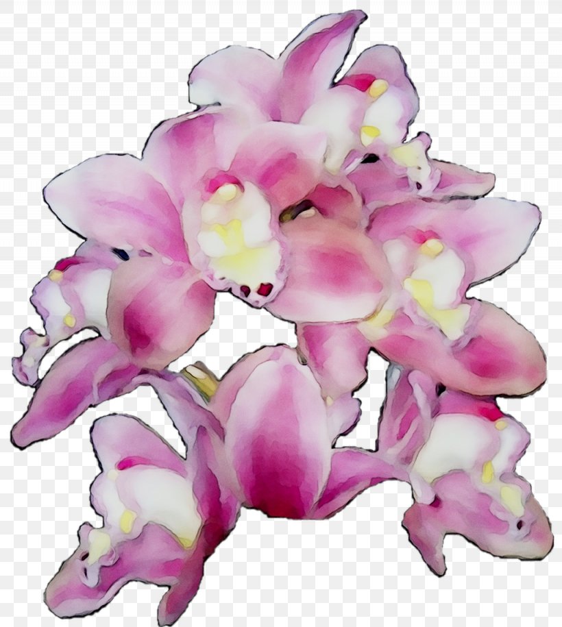 Moth Orchids Cut Flowers Floral Design Pink M, PNG, 1025x1144px, Moth Orchids, Cattleya, Cut Flowers, Dendrobium, Floral Design Download Free