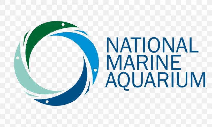 National Marine Aquarium, Plymouth Public Aquarium Malta National Aquarium Reef Aquarium, PNG, 1000x600px, National Marine Aquarium Plymouth, Aquarium, Brand, Conservation, Devon Download Free
