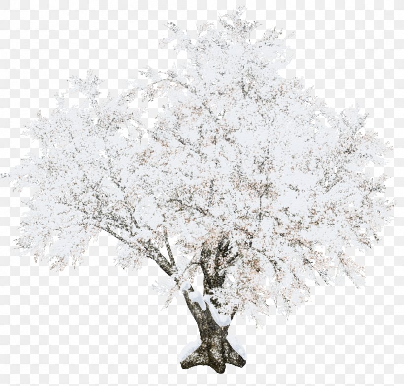 Tree Christmas, PNG, 1095x1047px, Tree, Black And White, Blossom, Branch, Cherry Blossom Download Free