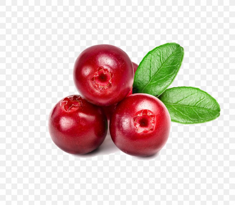 Cranberry Juice Cranberry Juice Lingonberry, PNG, 850x742px, Juice, Acerola, Acerola Family, Berry, Blackcurrant Download Free