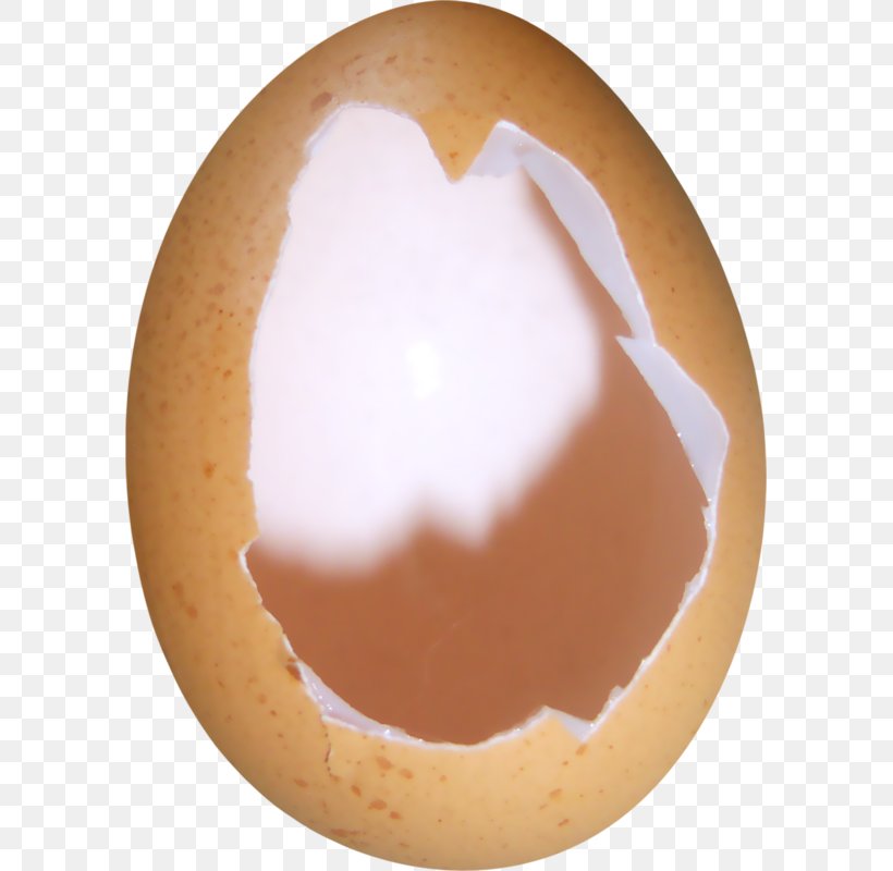 Eggshell Chicken Image, PNG, 589x800px, Egg, Chicken, Eggshell, Food, Freerange Eggs Download Free
