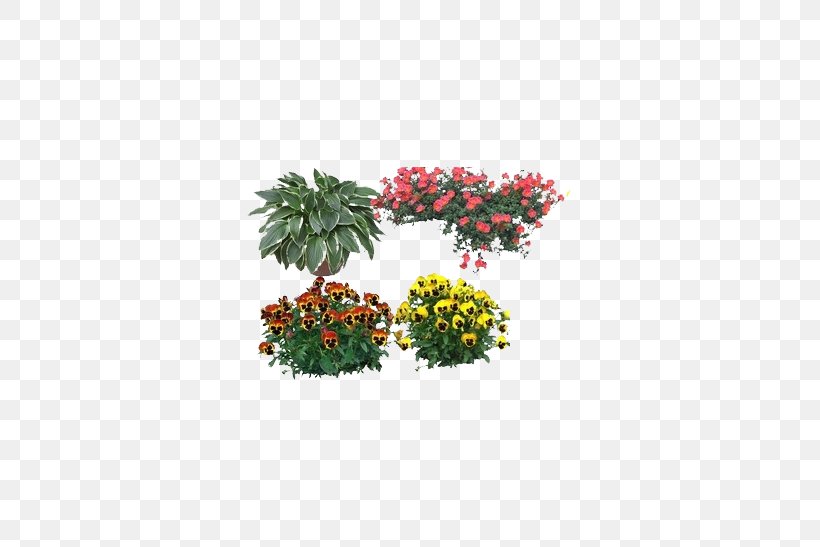 Dendranthema Lavandulifolium German Chamomile Flower, PNG, 586x547px, Dendranthema Lavandulifolium, Chrysanthemum, Flora, Floral Design, Flower Download Free