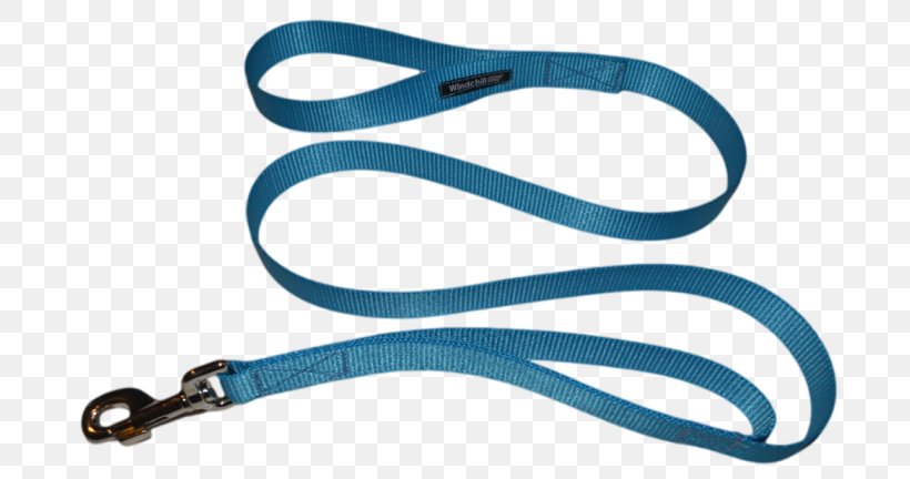 Leash Dog Pet Lead, PNG, 717x432px, Leash, Chain, Dog, Electric Blue, Fashion Accessory Download Free