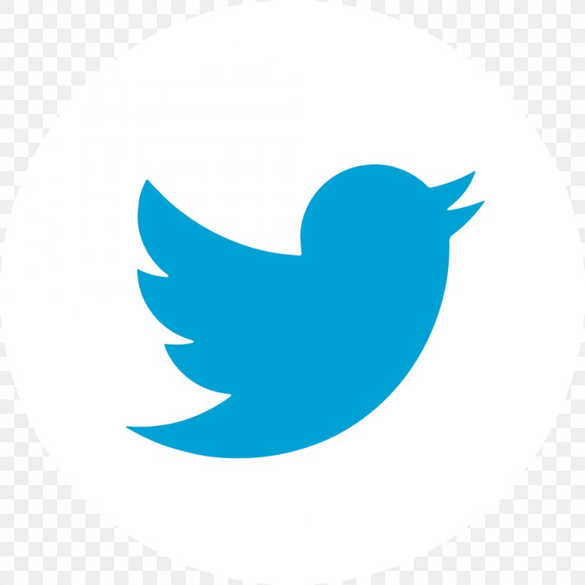 Logo Brand Social Media, PNG, 1000x1000px, Logo, Aqua, Beak, Bird, Blog Download Free