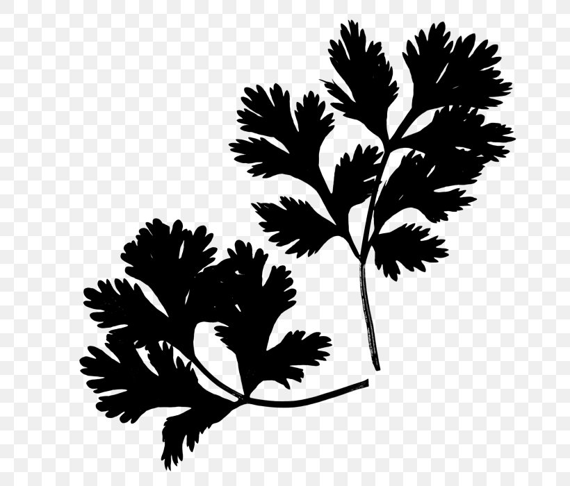 Stroller Tobacco Leaf Plant Stem Plants, PNG, 700x700px, Stroller, Blackandwhite, Botany, Branch, Cannabis Download Free