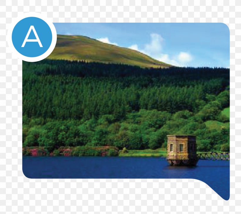 Talybont Reservoir National Park Nature Reserve Water Resources, PNG, 1214x1078px, National Park, Brecon, Brecon Beacons, Brecon Beacons National Park, Grass Download Free