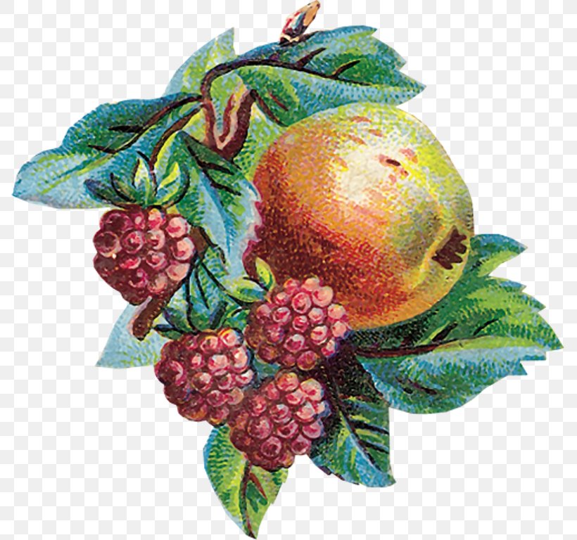 Thumb Fruit, PNG, 787x768px, Thumb, Berry, Food, Fruit Download Free