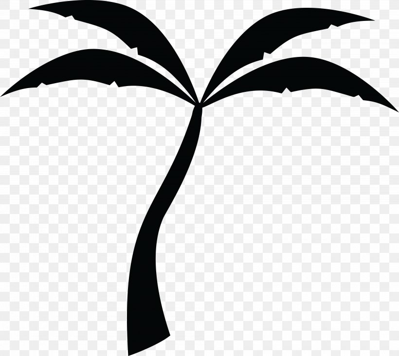 Arecaceae Silhouette Tree Clip Art, PNG, 4000x3572px, Arecaceae, Artwork, Black And White, Branch, Color Download Free