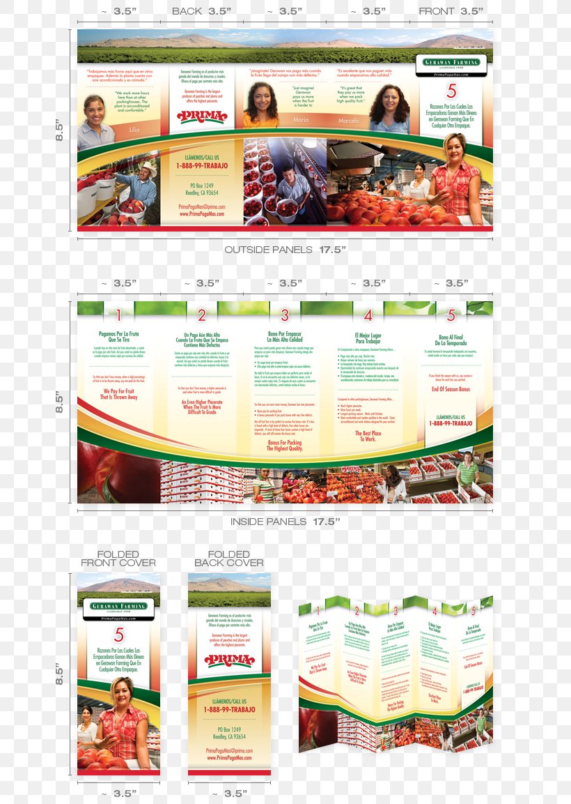 Brochure Advertising Flyer Folded Leaflet, PNG, 757x1153px, Brochure, Accordion, Advertising, Brand, Catalog Download Free