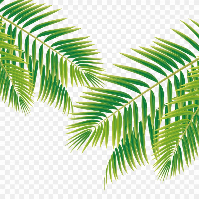 Poster Leaf Bride, PNG, 5000x5000px, Poster, Arecaceae, Arecales, Blog, Branch Download Free