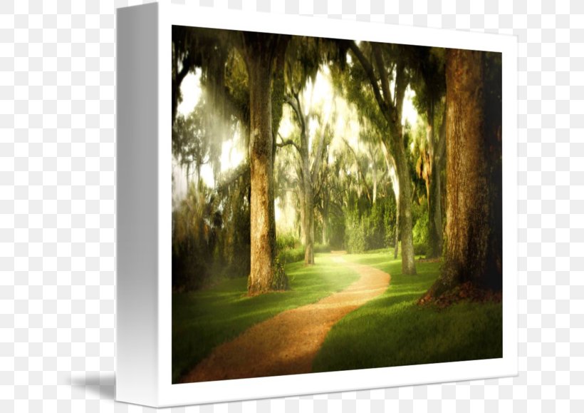 Gallery Wrap Painting Picture Frames Canvas Landscape, PNG, 650x579px, Gallery Wrap, Art, Biome, Canvas, Computer Download Free