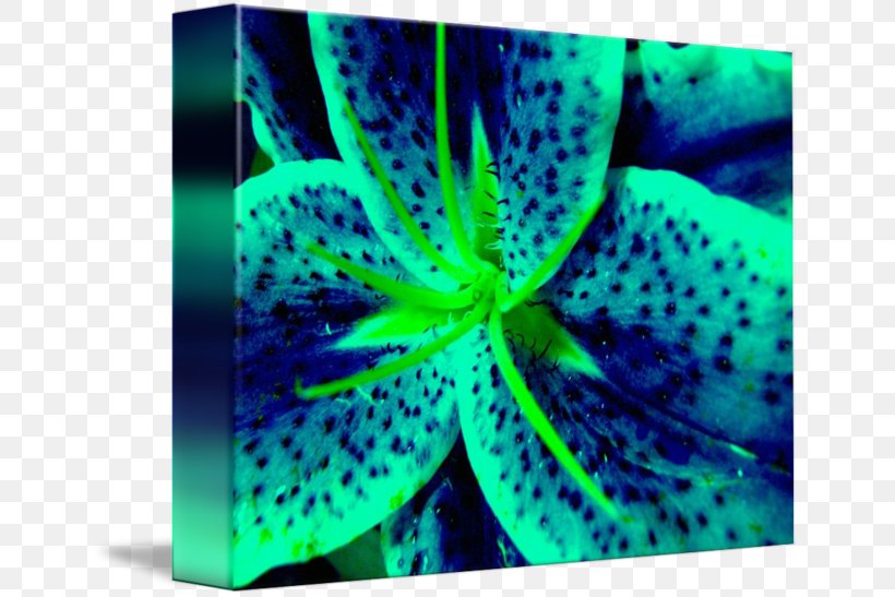 Marine Invertebrates Green Blue Lily 'Stargazer' Close-up, PNG, 650x547px, Marine Invertebrates, Blue, Close Up, Closeup, Green Download Free
