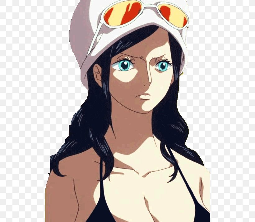 Nico Robin Nami Roronoa Zoro One Piece (JP), PNG, 530x714px, Watercolor, Cartoon, Flower, Frame, Heart Download Free