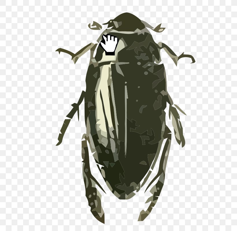 Beetle Hydrophilus Triangularis Clip Art Image, PNG, 563x800px, Beetle, Arthropod, Bumblebee, Hexapoda, Hydrophilidae Download Free