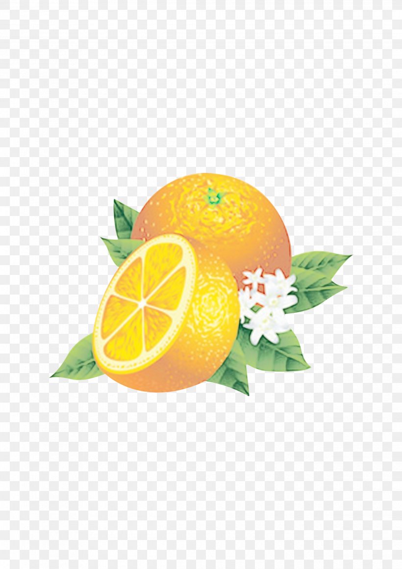 Lemon, PNG, 2480x3508px, Orange, Apple, Bitter Orange, Calamondin, Citric Acid Download Free