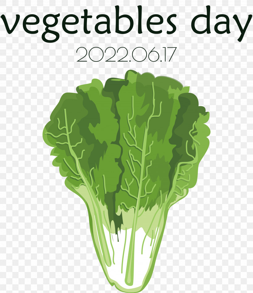 Salad, PNG, 5518x6381px, Romaine Lettuce, Autumn Vegetables, Cabbage, Celery, Celtuce Download Free
