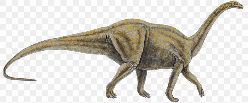 Tyrannosaurus Dinosaur Size Reptile Allosaurus, PNG, 2898x1210px, Tyrannosaurus, Allosaurus, Animal, Animal Figure, Cartoon Download Free
