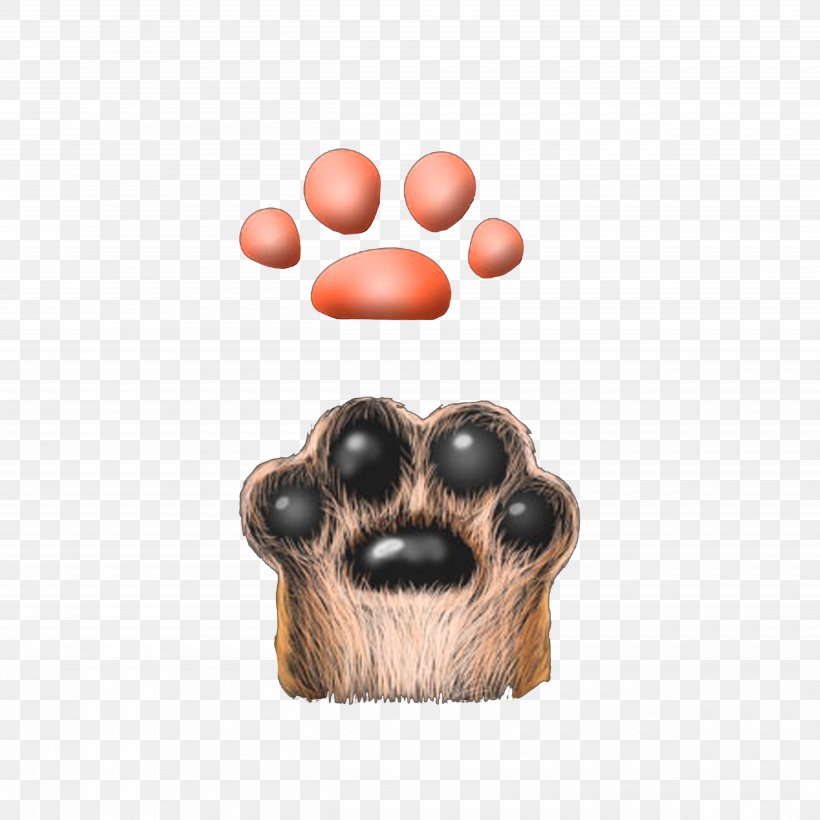 Cat Claw Dog Computer File, PNG, 5000x5000px, Cat, Breed, Claw, Dog, Dog Breed Download Free