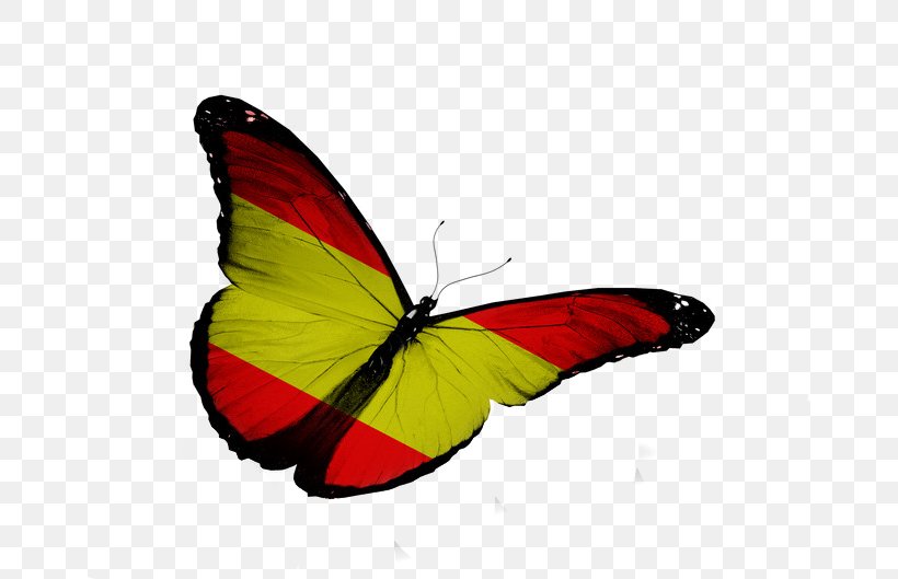 Flag Of Spain Royalty-free, PNG, 661x529px, Flag Of Spain, Brush Footed Butterfly, Butterfly, Drawing, Flag Download Free