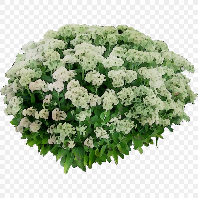 Hydrangea Floral Design Cut Flowers Sweet Alyssum, PNG, 1285x1285px, Hydrangea, Alisons, Alyssum, Annual Plant, Bouquet Download Free