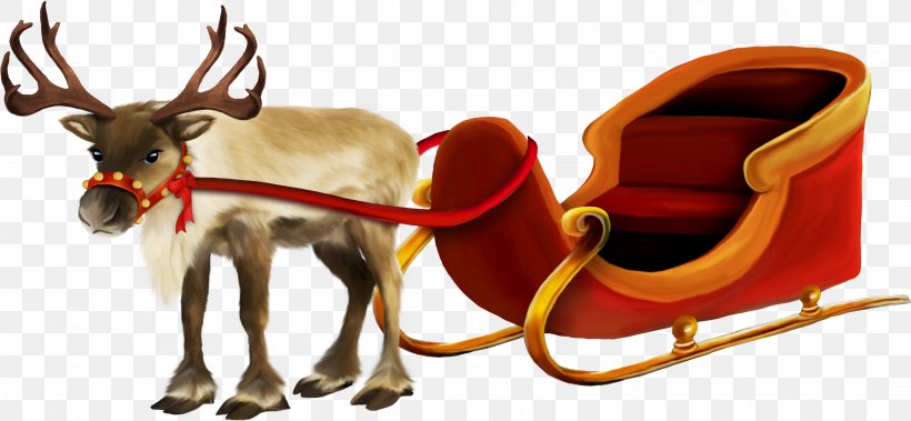Santa Claus Reindeer Sled Rudolph, PNG, 3437x1591px, Santa Claus, Christmas Day, Clip Art Christmas, Deer, Fictional Character Download Free