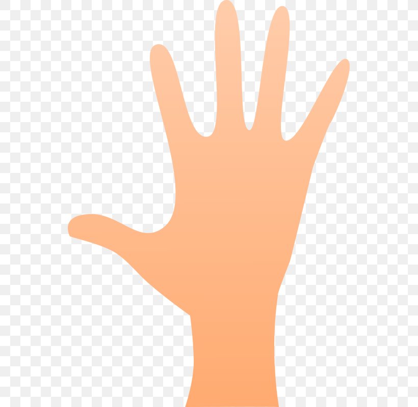 Thumb Hand Model, PNG, 553x800px, Thumb, Arm, Cartoon, Donald Trump, Finger Download Free