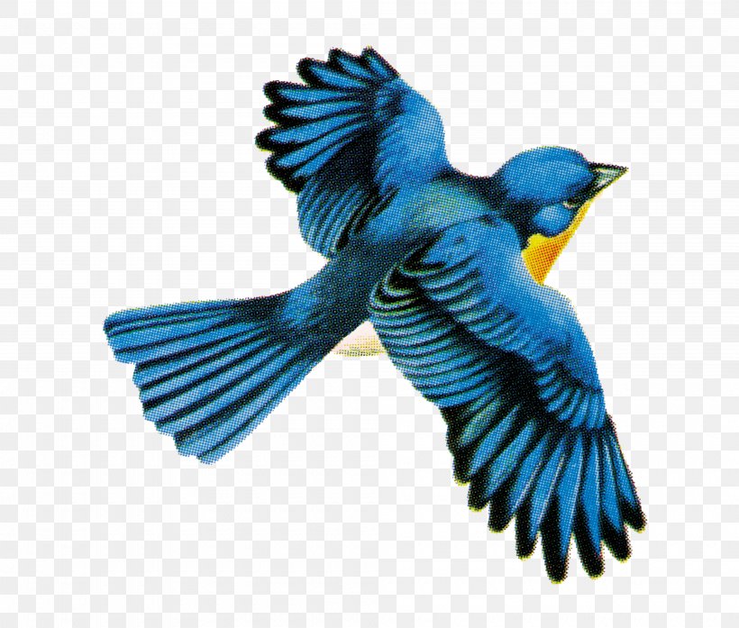 Bird Stock Illustration Vector Graphics Flight Image, PNG, 4000x3400px, Bird, Art, Beak, Bluebird, Common Pet Parakeet Download Free