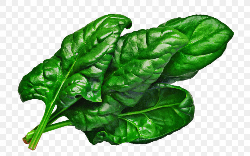Leaf Vegetable Leaf Chard Vegetable Green, PNG, 1417x886px, Leaf Vegetable, Arugula, Cabbage, Chard, Collard Greens Download Free