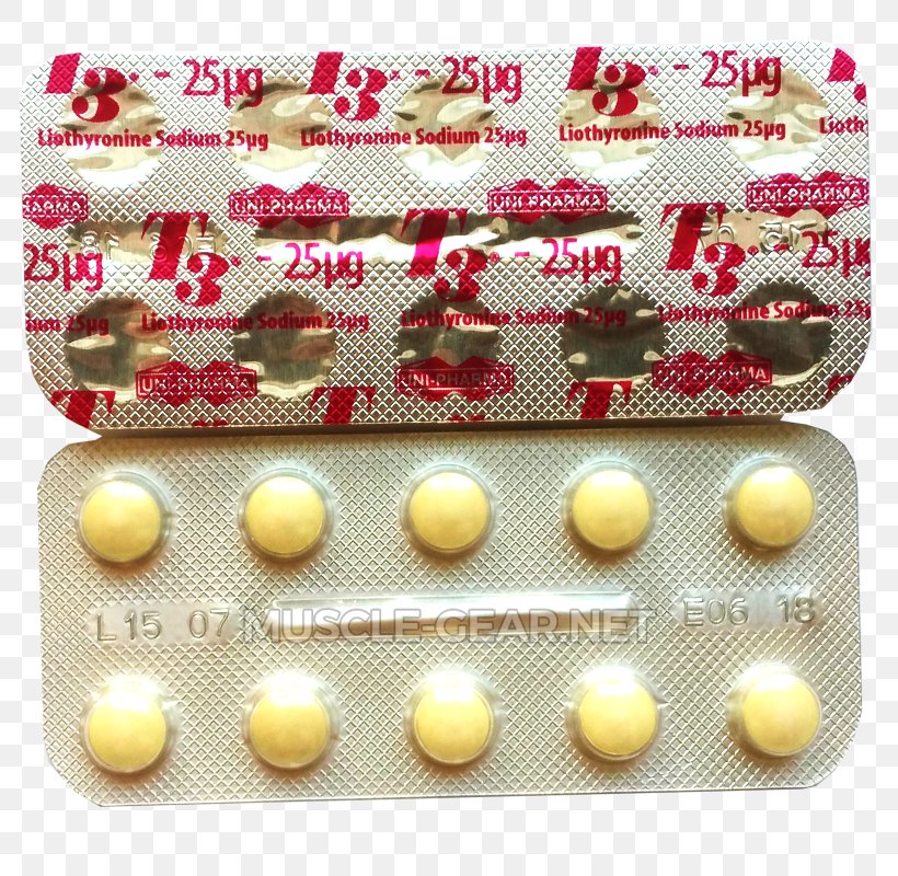 Anabolic Steroid Triiodothyronine Tablet Liothyronine Oxandrolone, PNG, 800x800px, Anabolic Steroid, Antiobesity Medication, Clenbuterol, Drug, Liothyronine Download Free