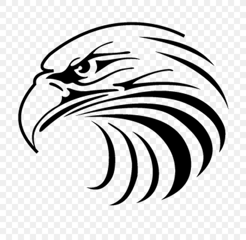 Clip Art Vector Graphics Openclipart Bald Eagle, PNG, 800x800px, Bald Eagle, Artwork, Beak, Bird, Bird Of Prey Download Free