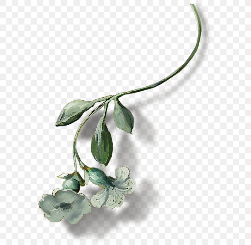 Flower Cantina Library Plant Stem Clip Art, PNG, 571x800px, Flower, Branch, Cantina, Dish, Leaf Download Free