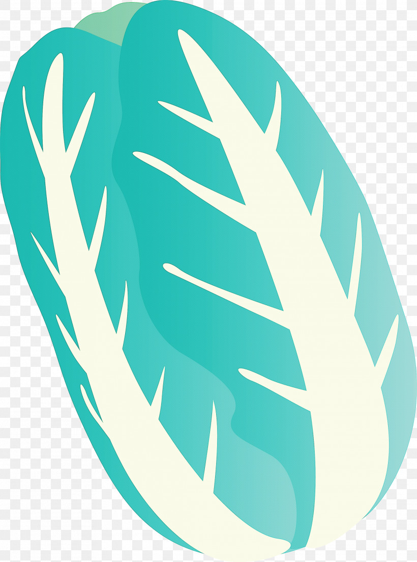 Nappa Cabbage, PNG, 2230x3000px, Nappa Cabbage, Feather, Leaf, Teal, Turquoise Download Free