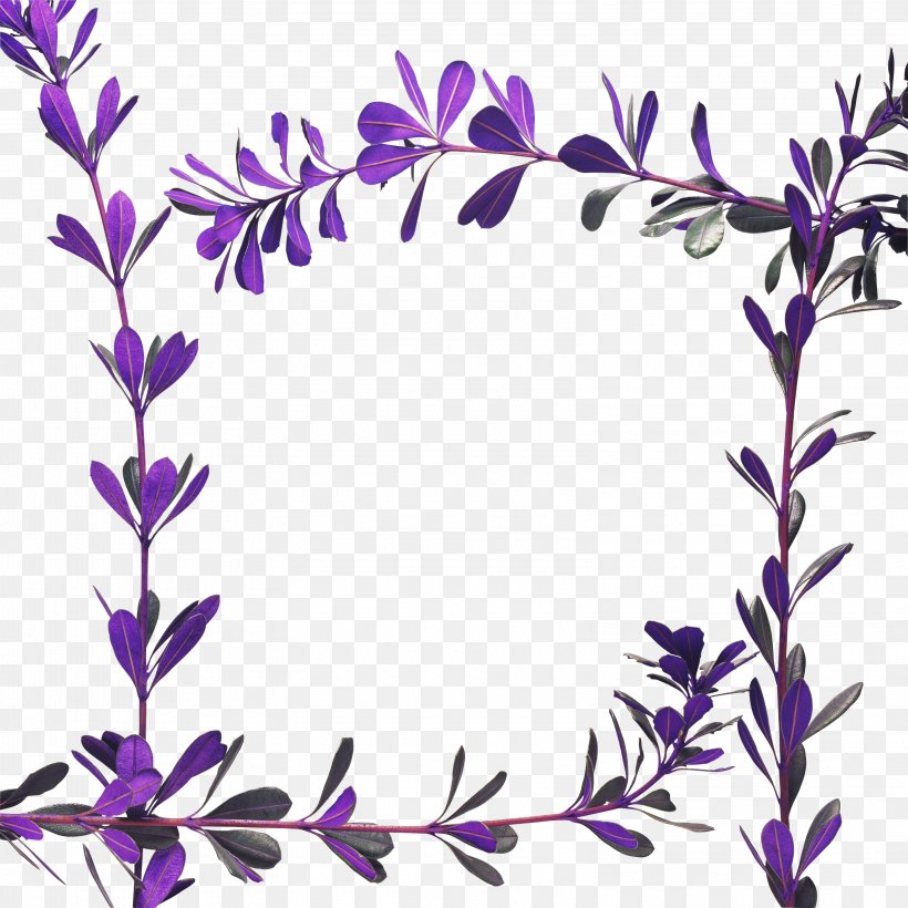 Picture Frames Photography Violet, PNG, 3156x3156px, Picture Frames, Area, Artwork, Branch, Color Download Free