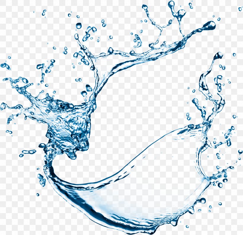 Clip Art Water Desktop Wallpaper Image, PNG, 1280x1240px, Water, Black And White, Branch, Liquid, Organism Download Free